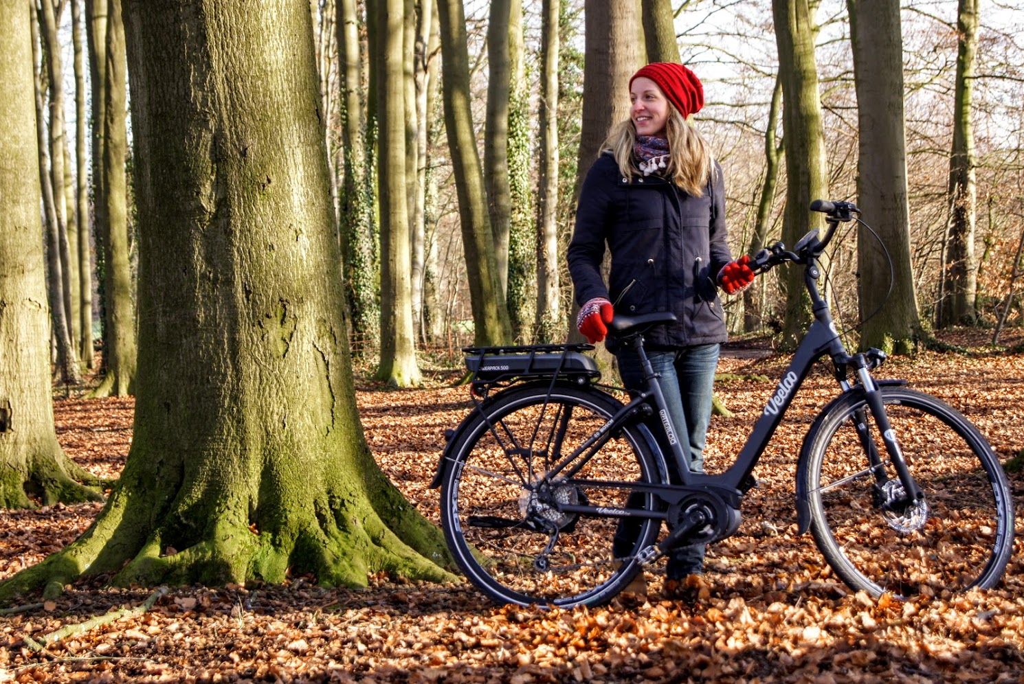 Veeloo e-bike
